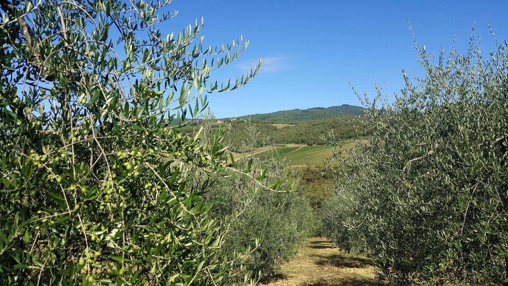 Holiday House Le Selvole Radda in Chianti Exterior photo